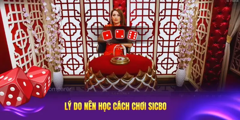 Lý do nên học cách chơi sicbo luôn thắng từ OKFUN